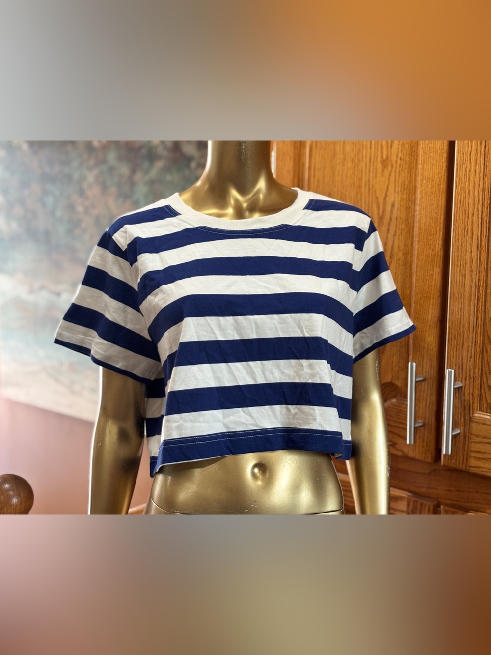 H&M Navy and White Striped Cropped Tee